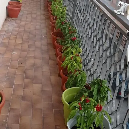 فندق مبيت وإفطار Stella House بوليكورو